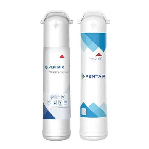 Pentair F2000-B2B Cartridge Filter Bundle (655126-96)