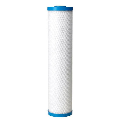 Pentek ChlorPlus 20BB Carbon Filter Cartridge (355753-43)