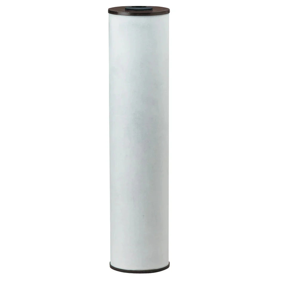 Pentek RFFE10-BB Iron Reducing Cartridge (655005-43)