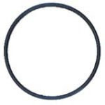 Pentek O-Ring for 10" or 20" Big Blue Housing (151122)