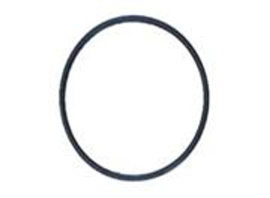 Pentek 151118 Silicone O-Ring for Standard Series Housings