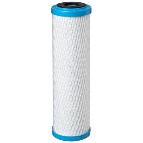 Pentek ChlorPlus 10 Carbon Filter Cartridge (255416-43)