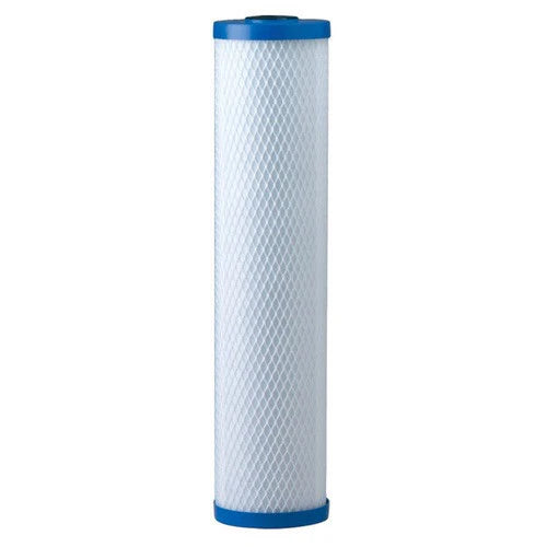 Pentair EP-20BB Carbon Filter Cartridge (155583-43)